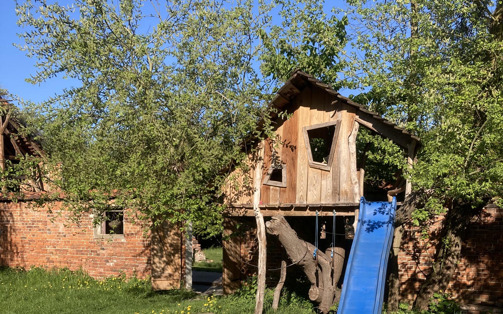 Baumhaus (3)